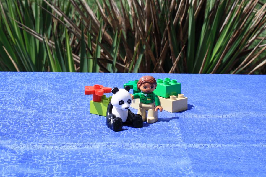Lego® Duplo® 6173 Pandabär